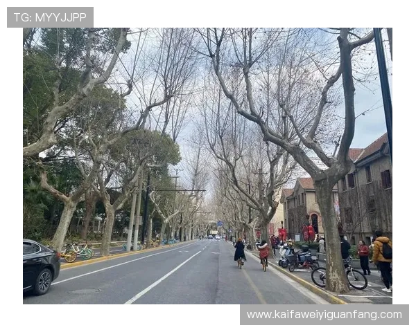 轻松掌握AG厅K8登录线路的常见问题解决方案及建议