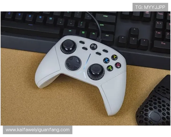 凯发九游会移动端优化，随时随地畅享精彩游戏乐趣